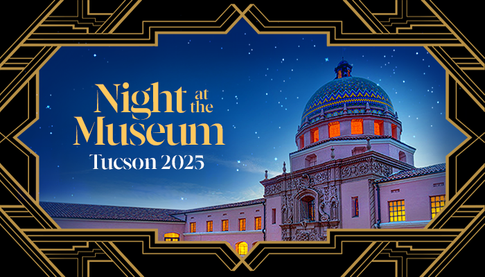 AM-204_2025-Night-at-the-Museum---Official-Invite-Email-Hero-FINAL-B.png